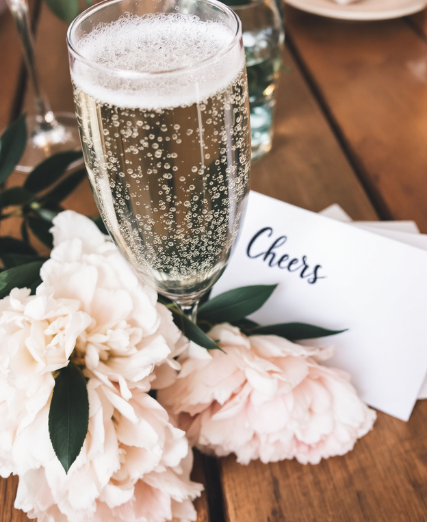 Bridal Shower Toast Bundle