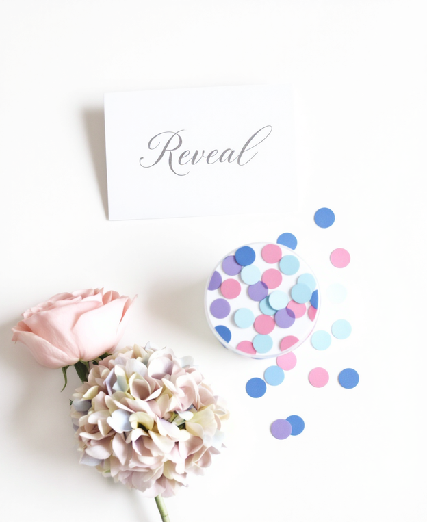 Baby Gender Reveal Invitation